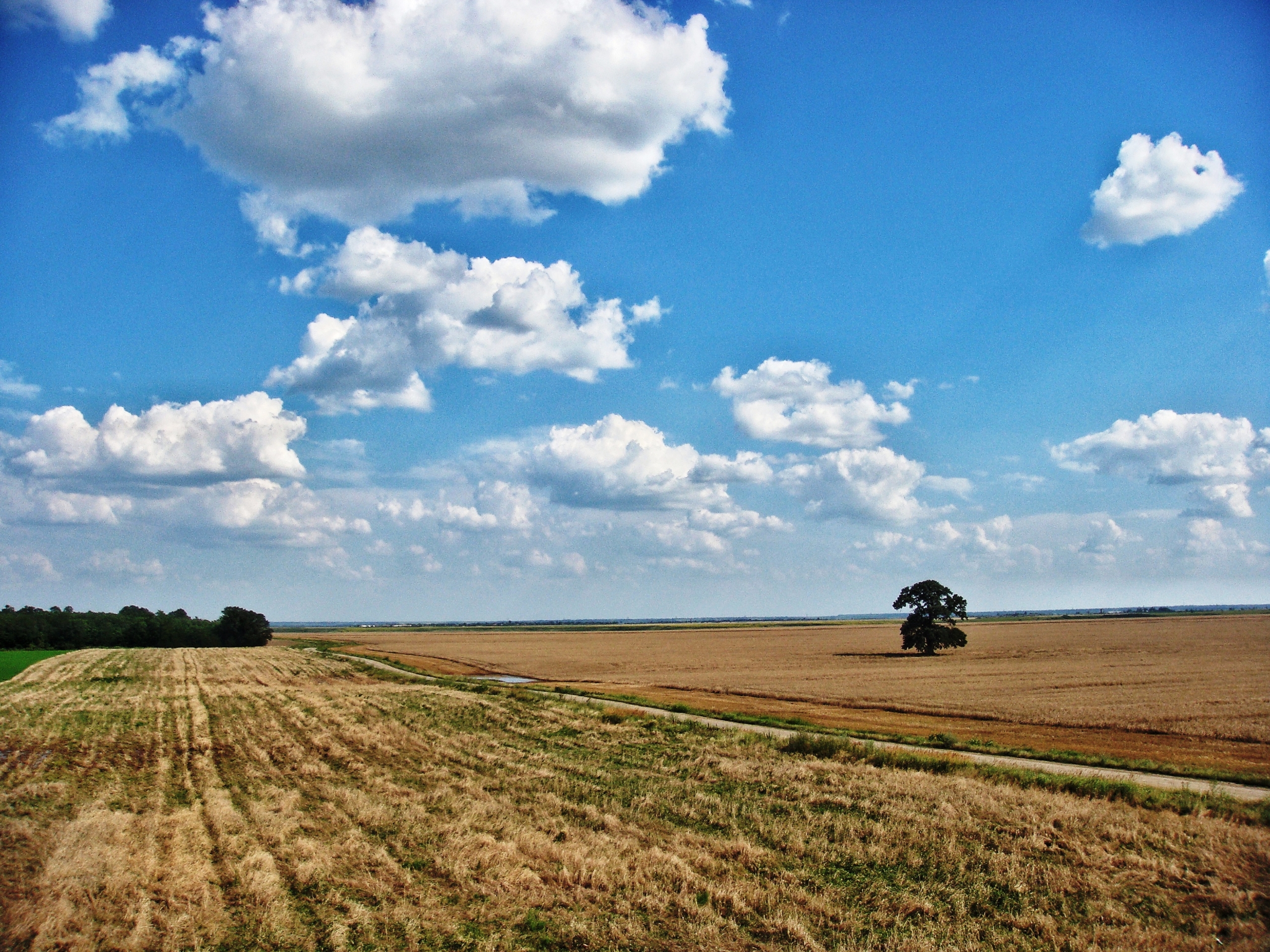 Intravilan, lipit de padure si drum judetean, zona Frumusani. Aer curat, liniste