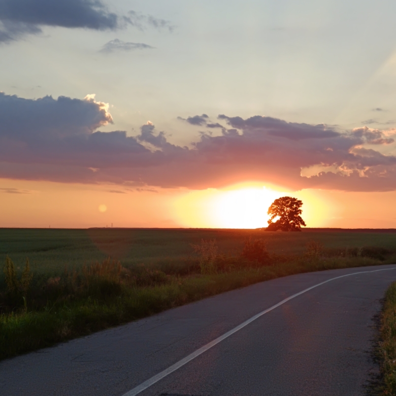 Teren intravilan cu PUZ. Comunitate-Liniste. Zona superba langa Frumusani.