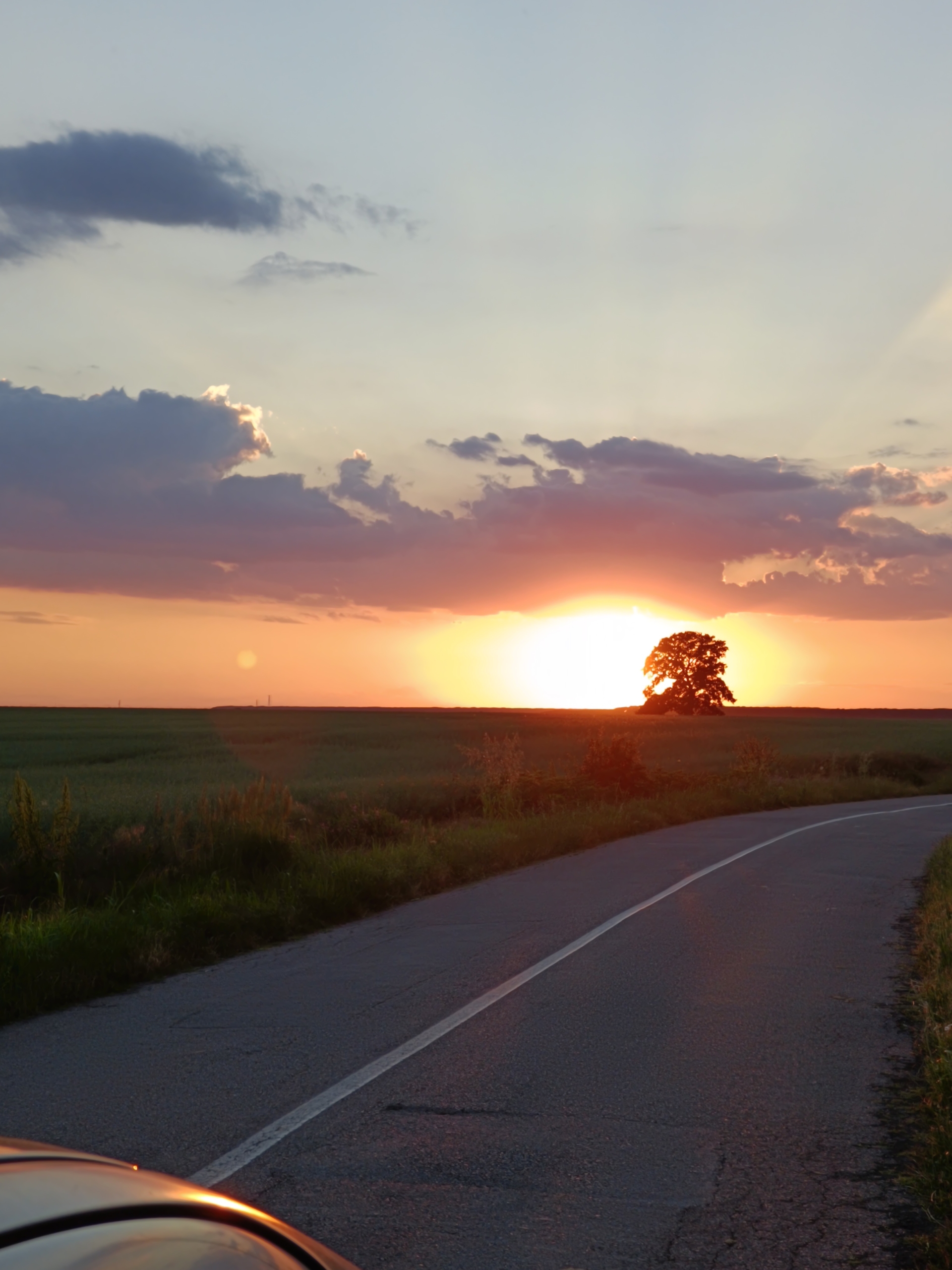 Intravilan, lipit de padure si drum judetean, zona Frumusani. Aer curat, liniste