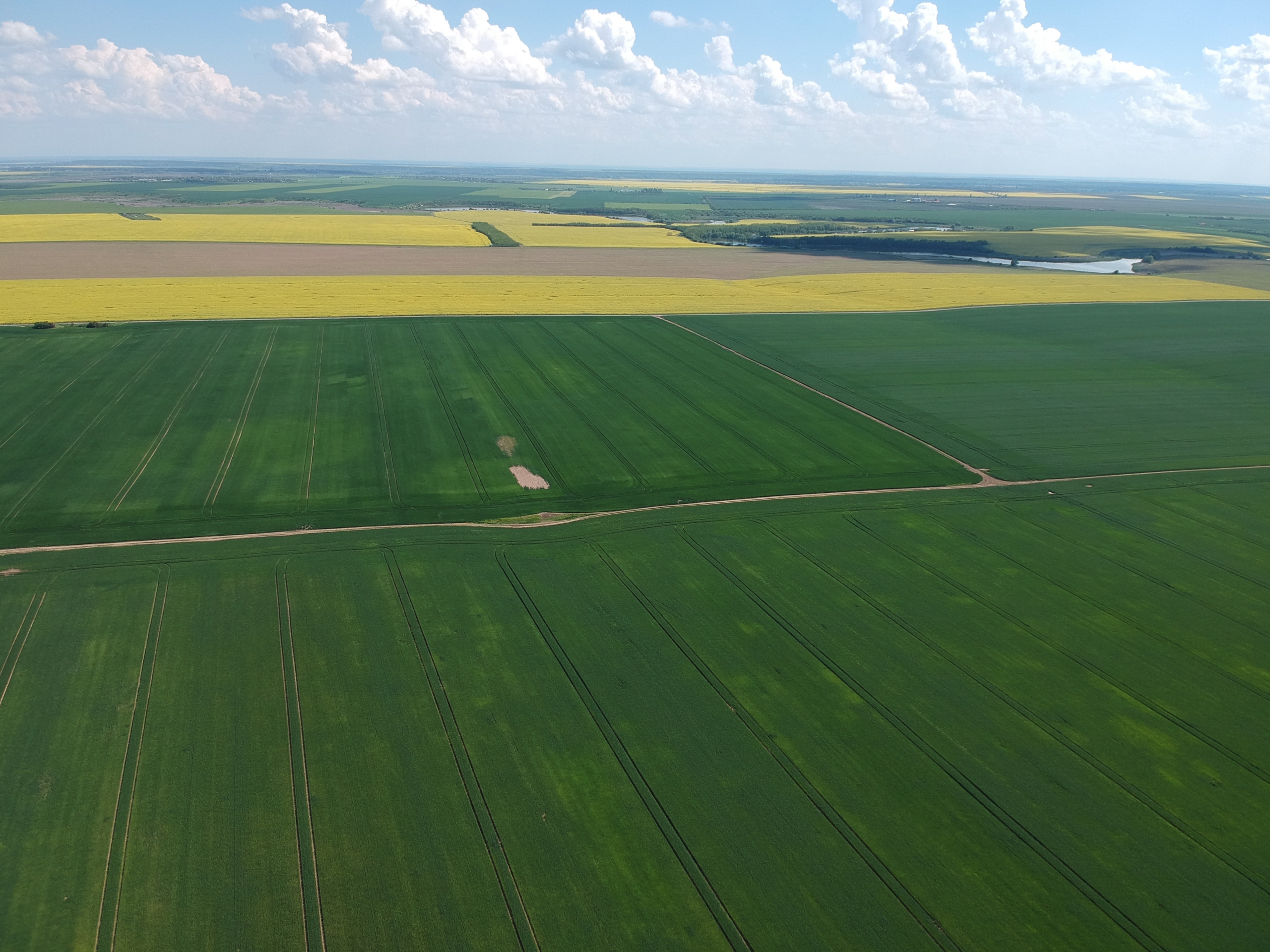 Oportunitate rară în zonă – 4750 mp intravilan cu PUZ aprobat, aproape de A0
